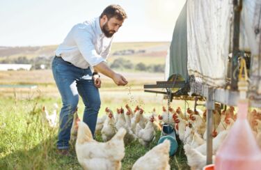 Landwirt bei Futterausgabe